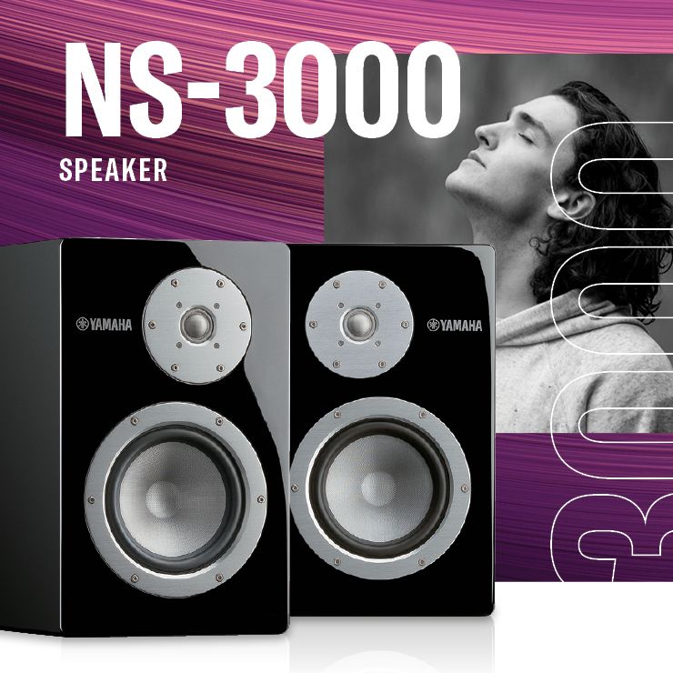 3000 speaker best sale