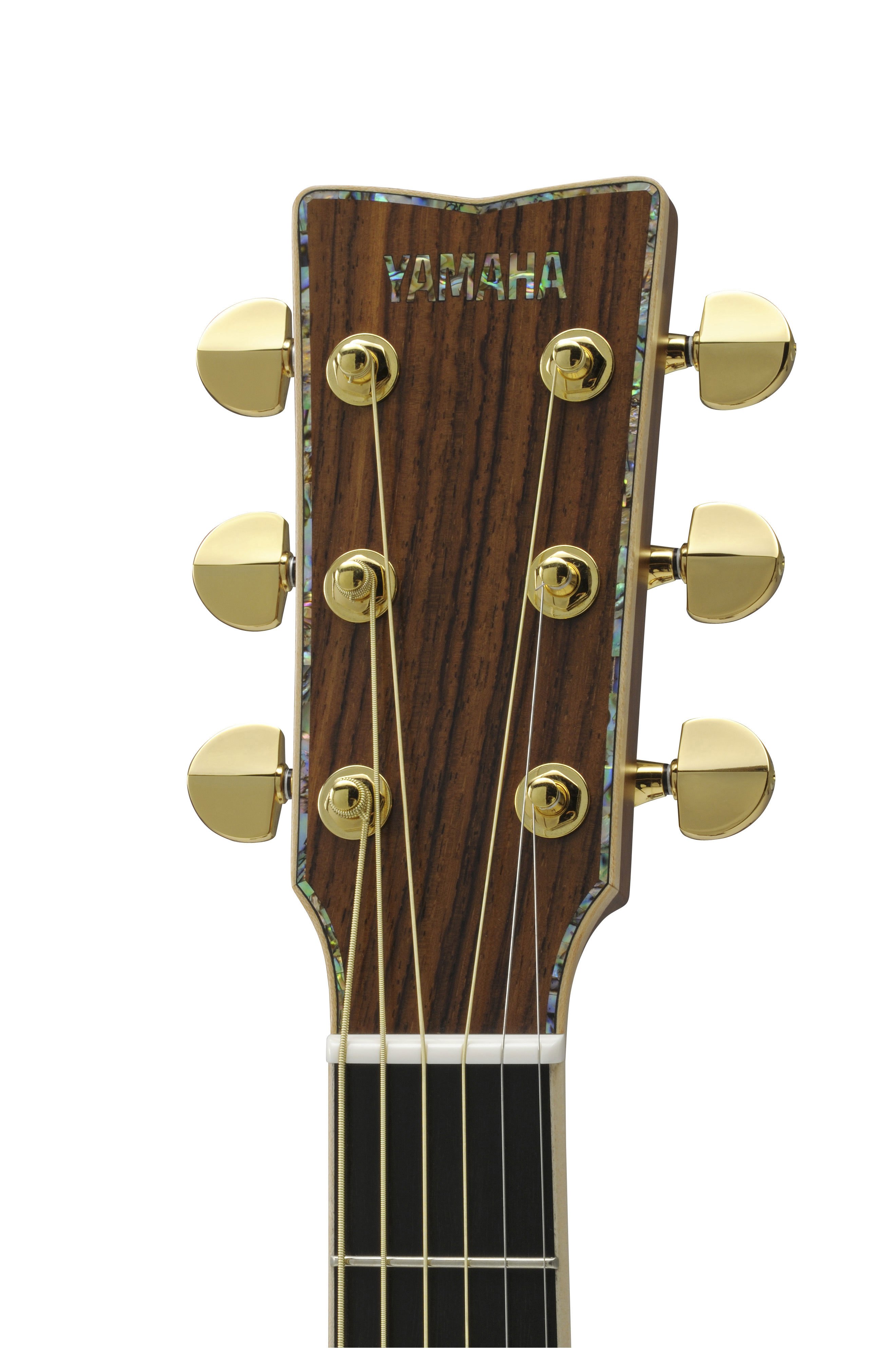 L Series - LL Series - Acoustic Guitars - Guitars, Basses, & Amps