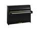 Product image of B10TC3 (Polished Ebony)