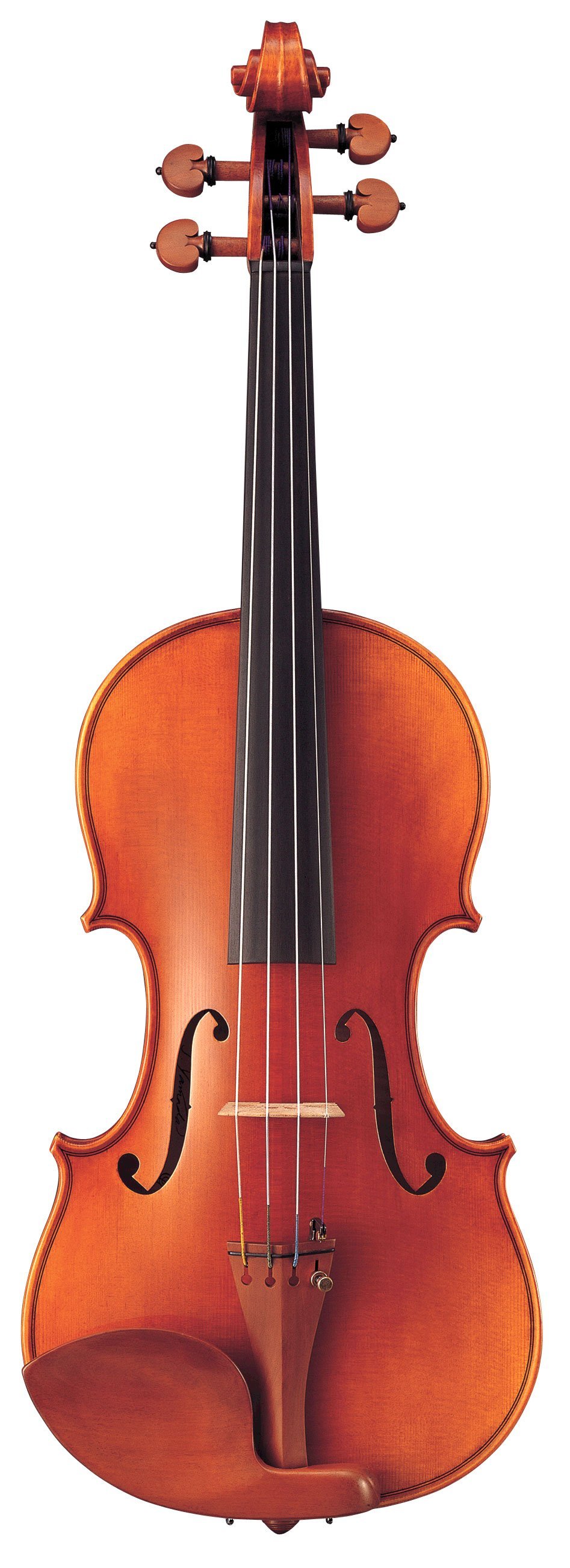 Braviol バイオリン V20G 4/4 送料無料 | サウンドハウス