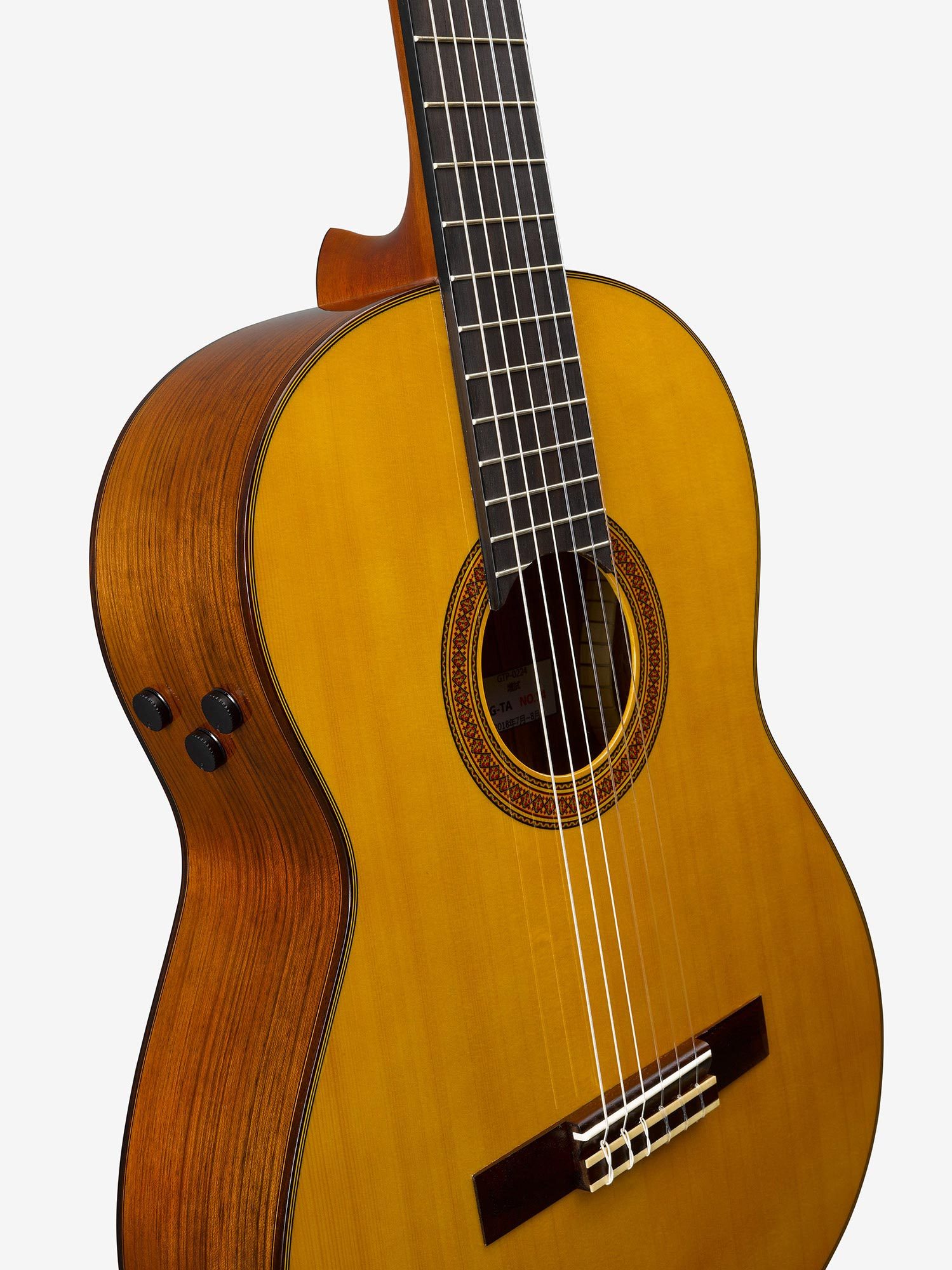 TransAcoustic Guitars - CG-TA - Acoustic Guitars - Guitars