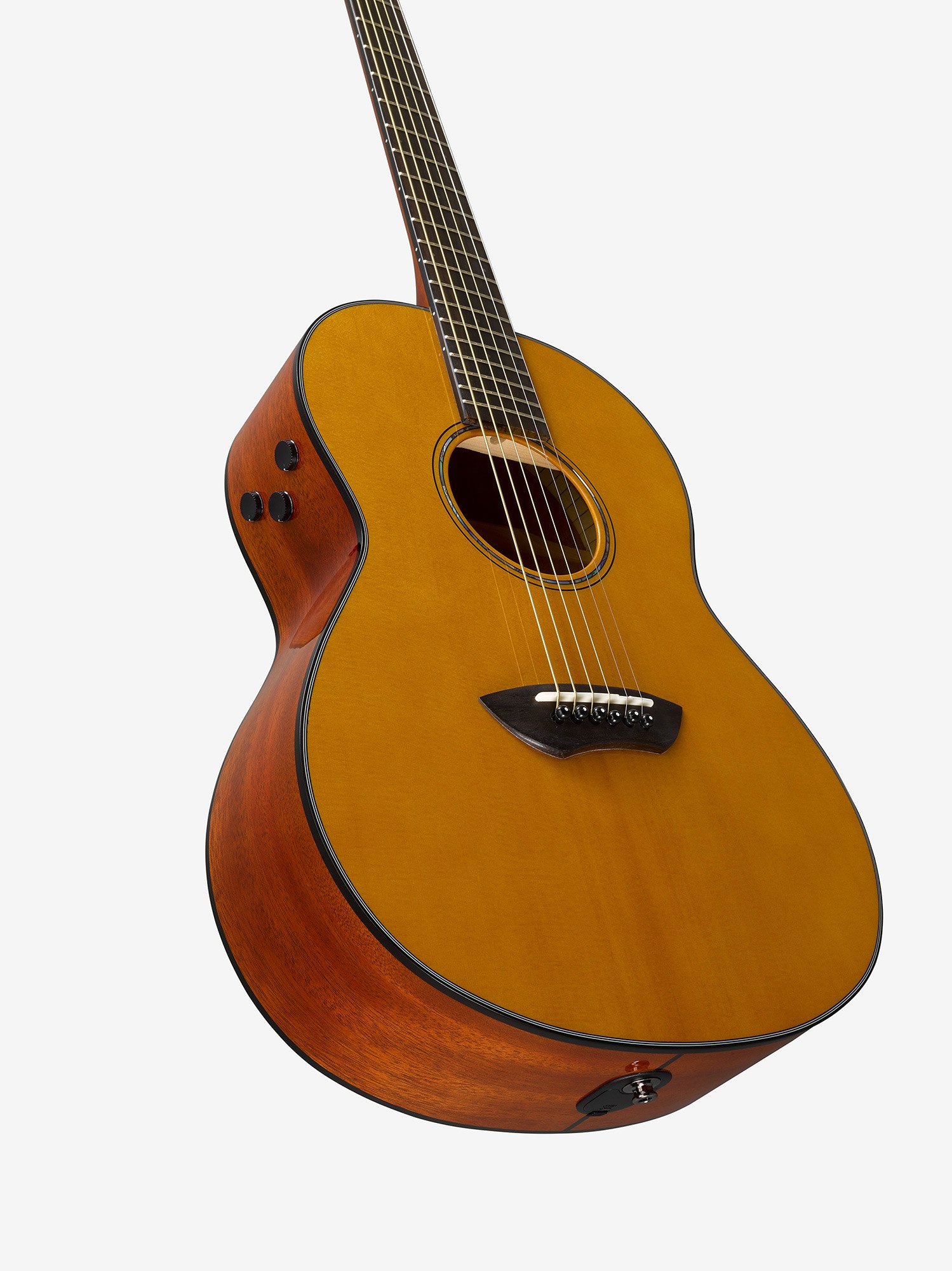 TransAcoustic Guitars - CSF-TA - Acoustic Guitars - Guitars