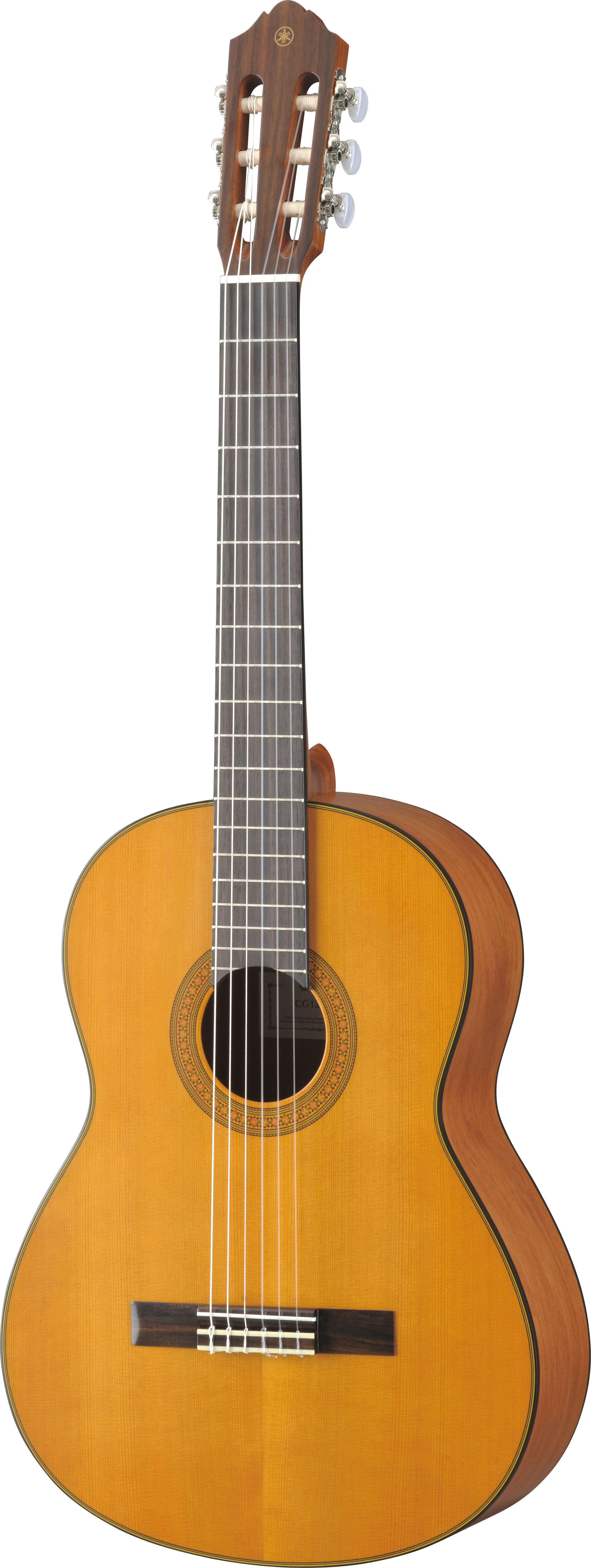 CG / CGX - Overview - Classical & Nylon - Guitars, Basses
