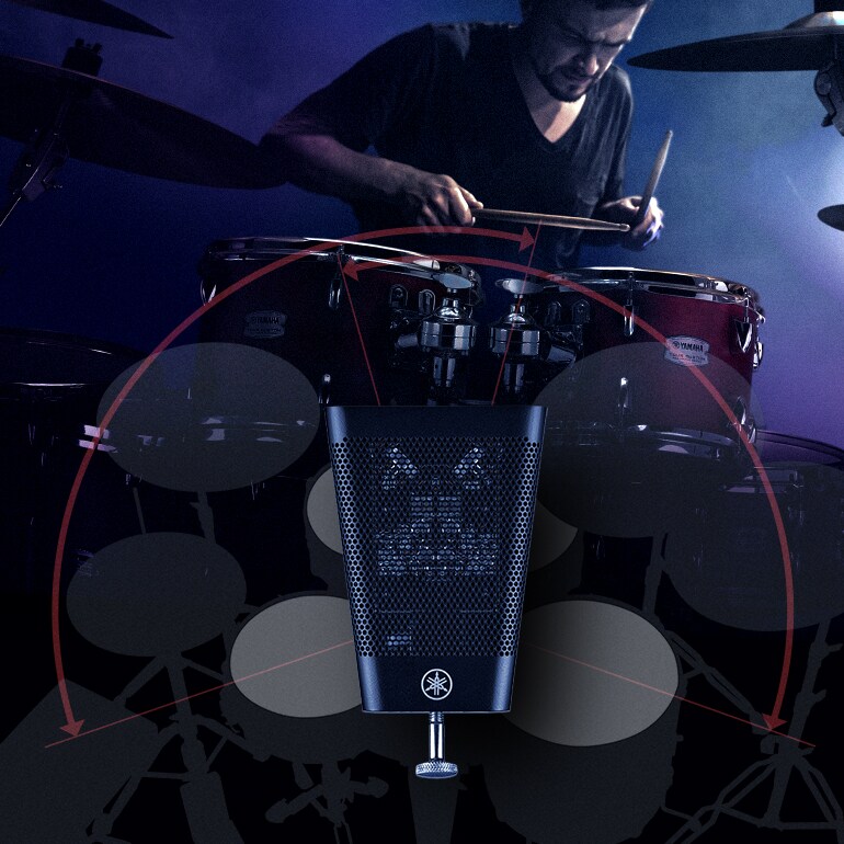 Composite image intuitively illustrating the features and usage of the EAD50