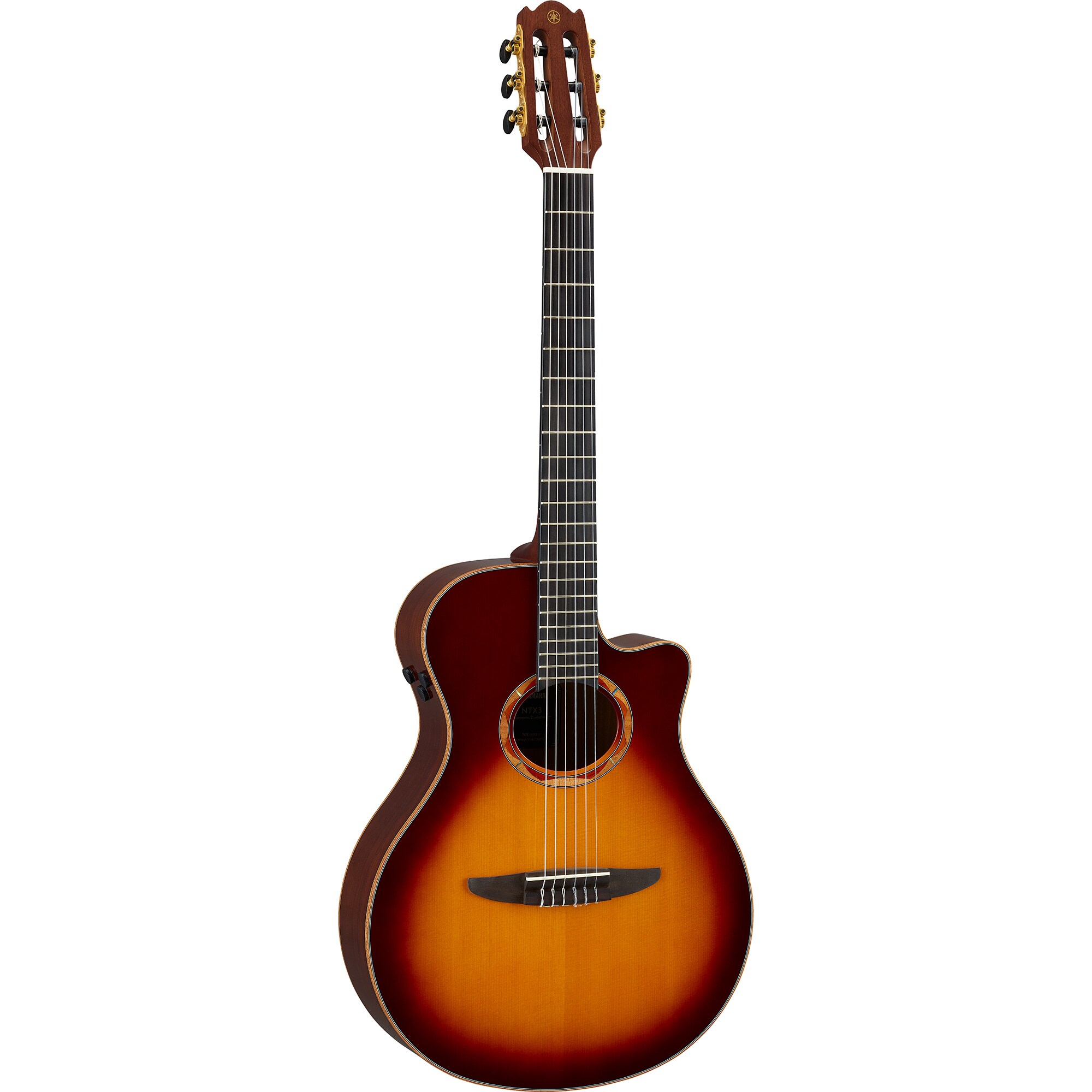 GUAM TRYTONES　EP NX Series - Overview - Classical & Nylon - Products - Guitars
