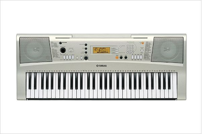 PSR-E313