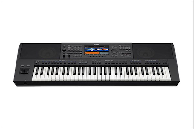 PSR-SX900