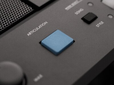 PSR-E483 Feature image of ARTICULATION Button