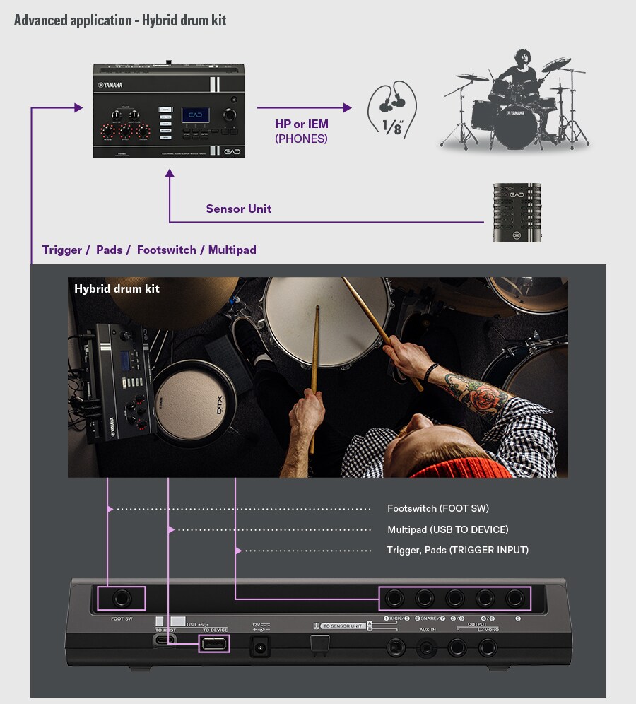 Diagram showing an expanded EAD20 configuration with additional pads and trigger inputs.