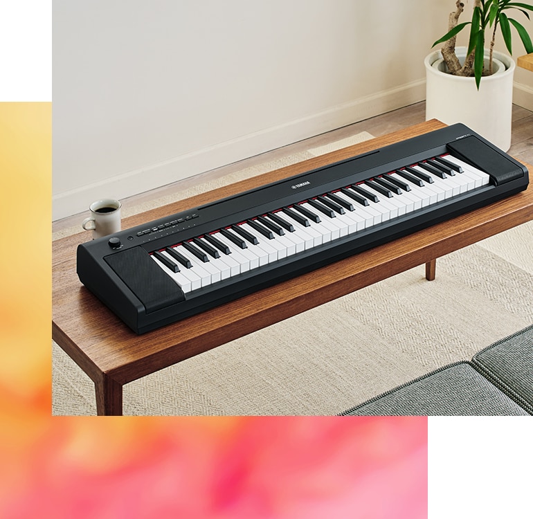 Piaggero - Keyboard Instruments - Musical Instruments Piaggero - Keyboard Instruments - Musical Instruments