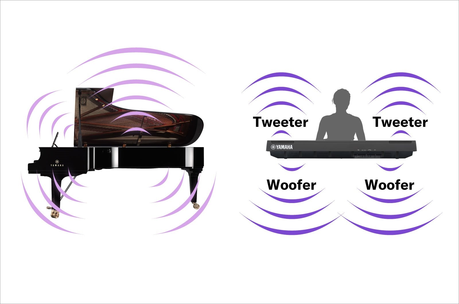 A diagram comparing a grand piano with the P-125a, showing the sound emanating from above and below the instrument in the same way as a grand piano